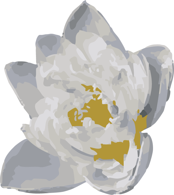 ハスの花のイラスト